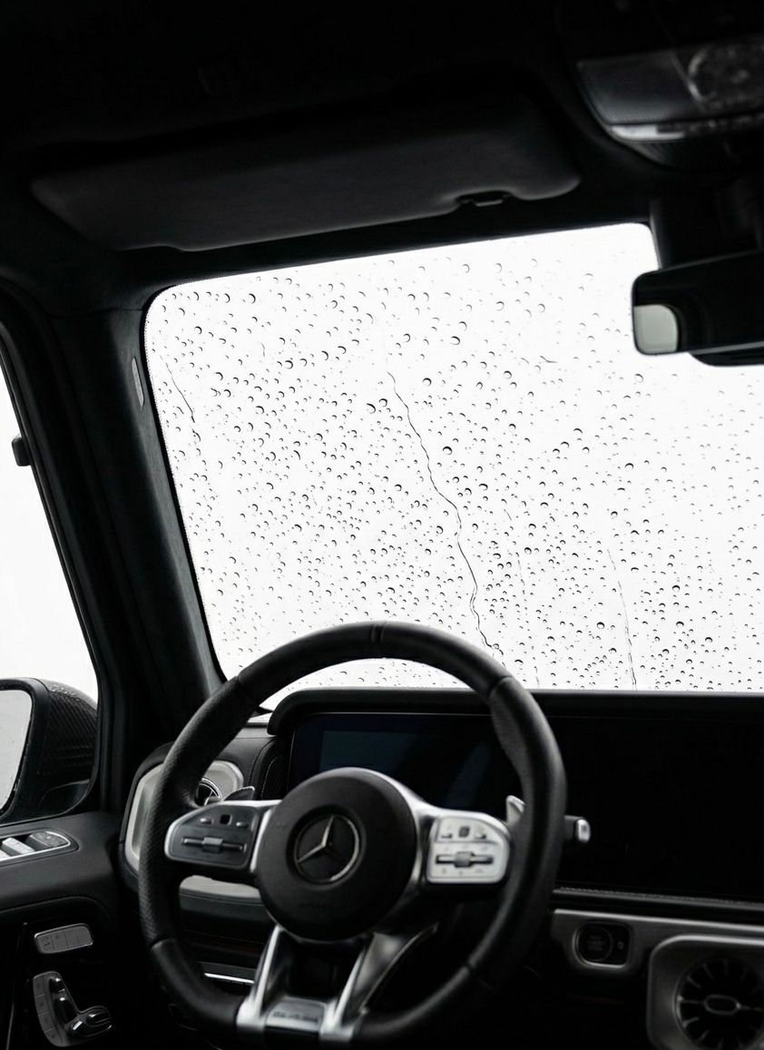 Protección Windshield